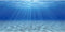 AWERT Undersea Aquarium Background, 48x20 Inches Sunshine Underwater Ocean Floor Fish Tank Polyester Background