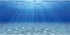 AWERT Undersea Aquarium Background, 48x20 Inches Sunshine Underwater Ocean Floor Fish Tank Polyester Background