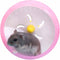WishLotus Silent Hamster Running Wheel, Pink Exercise Toy for Dwarf Hamster, Cage Accessory for Golden Silk Shih Tzu