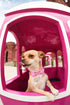 Lionheart Glory Adjustable Pink Plaid Dog Collar with Bowtie, Soft Bowtie Dog Collars for X-Small Puppy Gift