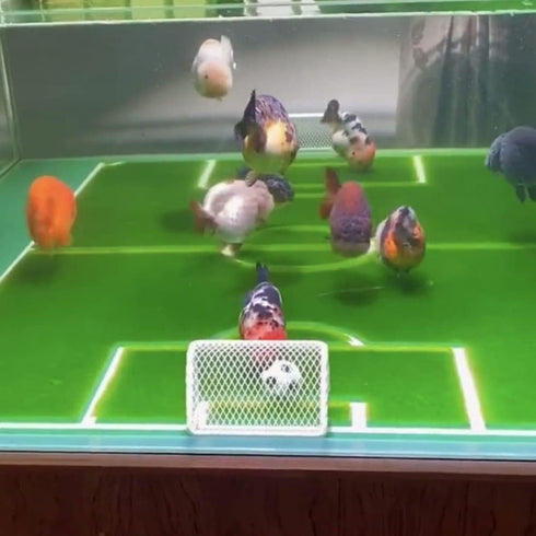 POPETPOP Fish Tank Decorations Mini Soccer Goal, Indoor Mini Net Football Frame Toy for Aquarium Decor