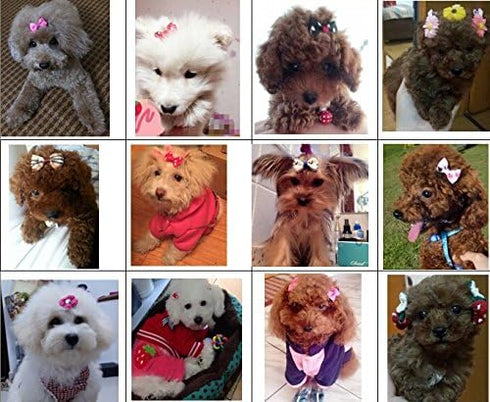 Dogs Kingdom Pet Dog Cat Head Flower Hairpin, Random 5-Pcs, One Size
