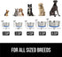 Gorilla Grip Stainless Steel Dog Bowl Set of 2, Heavy Duty Feeding Dishes with Rubber Base, Holds 2 Cups (16 fl oz)