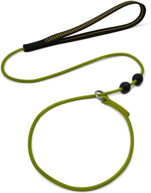 Dog Ultra-fine Leash, Slip Leads for Dogs, Training Leash for Small, Medium or Large Dogs, Seagreen, 1.4M Long