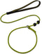 Dog Ultra-fine Leash, Slip Leads for Dogs, Training Leash for Small, Medium or Large Dogs, Seagreen, 1.4M Long