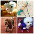 Warm Winter Little Pet Dog Boots, Skidproof Soft Snowman Anti-Slip Sole Paw Protectors, Small Puppy Shoes 4PCS (L, Pink)
