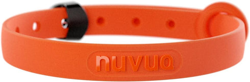 Waterproof and Durable Dog Collar, Soft Lightweight Adjustable Collar for Miniature Dogs and Puppies, Mini, Tangerine