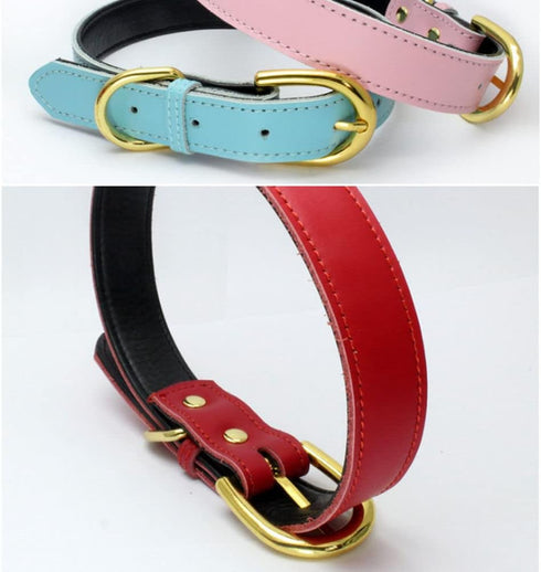 Leather Collar for Small Dogs, Adjustable Genuine Cowhide with Gold Buckle, Soft Touch Padded for XS Medium Large Dogs,