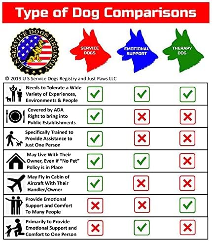 Just 4 Paws PVC PTSD Service Dogs Key or Collar Tag for ADA PTSD Service Animals (PT21)