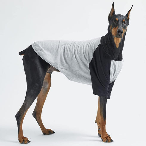Dog Cotton Shirts Raglan T-shirts for Small and Large Dogs, Soft Breathable Pet Clothes (X-Large, Gray/Black)
