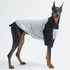 Dog Cotton Shirts Raglan T-shirts for Small and Large Dogs, Soft Breathable Pet Clothes (X-Large, Gray/Black)
