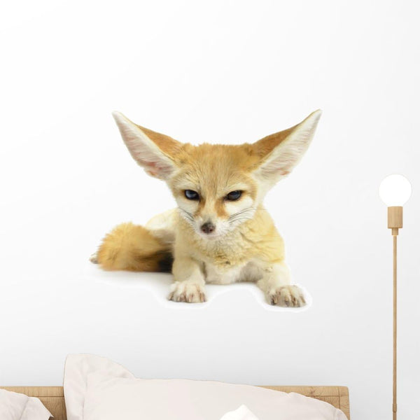 Wallmonkeys WM351973 Fennec Fox Peel and Stick Wall Decals, 18" W x 12" H, Small