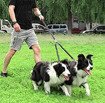 Double Dog Leash for Two Dogs - No Tangle, Comfortable Shock Absorbing Bungee Leash