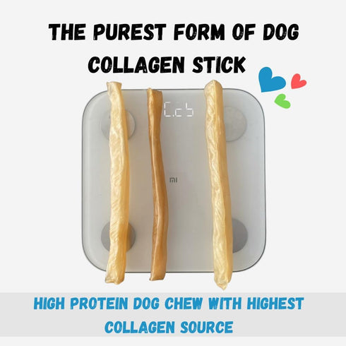 Amazing Dog Treats - Large Collagen Stick (6 Inch - 8 Count) - 100% Pure Collagen Sticks for Dogs