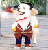 Idepet New Funny Pet Clothes, Pirate Dog Cat Costume Suit, X-Large, Corsair Dressing Up Party Apparel with Hat