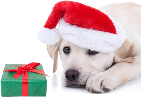 6 Pcs Dog Cat Pet Santa Hat Christmas Costumes for Small Pets, Christmas Photo Props