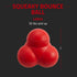 Playology Squeaky Bounce Ball for Large Dog Breeds (35lbs+), All-Natural Beef Scented Rubber Chew Toy