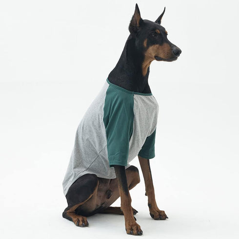 Dog Shirt for Small and Large Dogs - Raglan Cotton T-Shirts, Soft Breathable Pet Clothes (X-Large, Gray/Green)