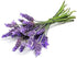 PlumEasy Patterns Lavender Walnut Shells, 11.5 oz Lavender Scented Ground