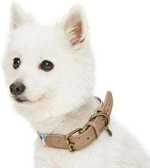 Blueberry Pet Adjustable Dog Collar, Large, Shades of Rainbow Multicolor Triangles, Genuine Full Grain Leather &