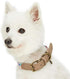 Blueberry Pet Adjustable Dog Collar, Large, Shades of Rainbow Multicolor Triangles, Genuine Full Grain Leather &