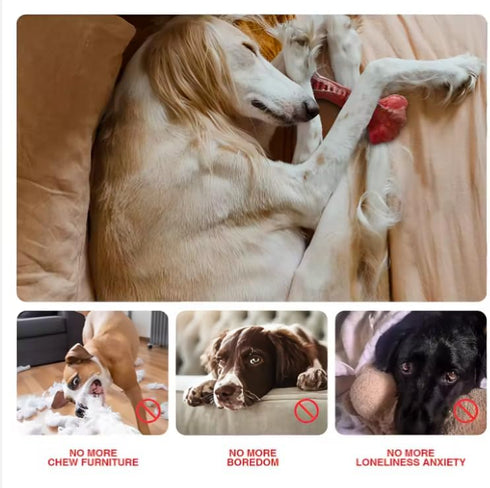 Dog Puppy Bone Toy for Aggressive Chewers, Beef Flavor, Durable Rubber for Small/Medium Breeds