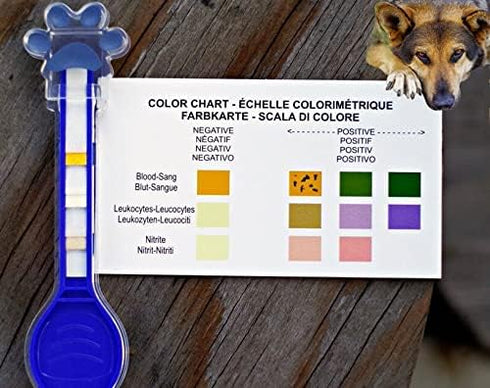 PawCheck UTI Test Kit for Dogs with Telescopic Urine Collector