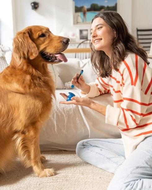 Paw Ready from Doggy Breath to Doggy Fresh Dog Dental Care Kit Includes Enzymatic Toothpaste for Dogs Plus BrushMate