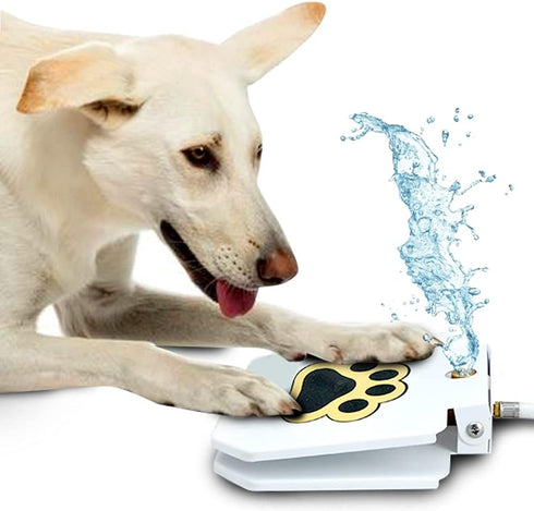 Dog Outdoor Fountain Step On | Paw Activated Drinking Pet Dispenser for Fresh Water
