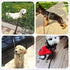 Premier 6ft Leather Dog Training Leash for Hunting Dogs or Obedience - Great Christmas Dog Gifts