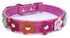 Flower Dog Collars for Small Dogs - Fancy Colorful Floral Cute Girl Puppy Collar for Tiny Cats, Hot Pink Xsmall
