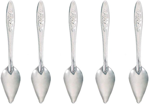 Bandelt 5 Pcs Stainless Steel Bird Parrot Feeder Spoon for Baby Birds, 4.7"