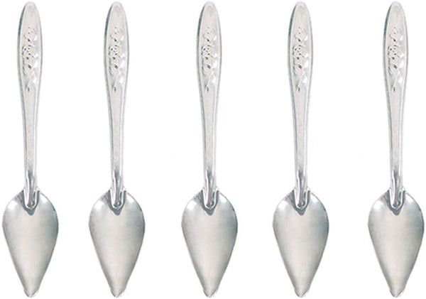 Bandelt 5 Pcs Stainless Steel Bird Parrot Feeder Spoon for Baby Birds, 4.7"