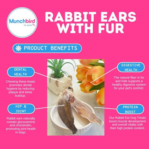 Dehydrated Rabbit Ears for Dogs & Cats, European Furry Rabbit Ear Dog Treats, Whole Rabbit Ears with Fur for Dogs Chew, Rawhide Alternative, 100% Single Ingredient (Pack of 10)