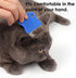 Patty Both Pet Lice & Flea Removal Comb/Brush, Stainless Steel Teeth, Sturdy Plastic Handle for Easy Cleaning (Blue)