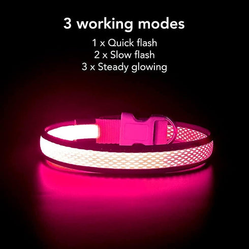 BSEEN Light Up Dog Collars - Adjustable Reflective LED Dog Collar, Rechargeable Camping Gear for Small Medium Large