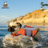 Lightweight Dog Life Jacket Swimming Vest, High Reflective Pet Lifesaver with Lift Handle, Leash Ring - Orange, L