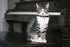 XXS Dog Collar with Bell, Synthetic Leather Basic Cat Collar with Bells for XXS, XS, Small, Medium Pets (Green XXSmall)