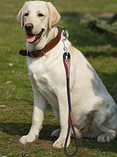 BTINESFUL Short Dog Leash - 18, 24 Inch Strong Nylon Training Traffic Leash for Medium Large Dogs (Black, 1/2" x 24