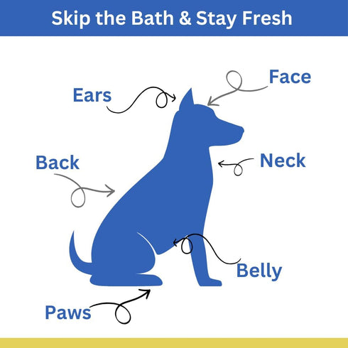 Best BARKIN' Wipes with Free Mesh Bag, Micellar Aloe Scented Dog Wipes for Paws, Ears, and Butt (50-Pack)