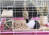 Chinchilla Litewoo Rabbit Scratch Board Foot Pad Mat Chew Toy Grinding Claws Teeth Natural Wood for Small Animal Rabbit