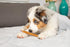 6 Inch Thick Bully Sticks for Dogs, Pack of 8, Premium Fully Digestible Odor Free Beef Pizzle Chew Treats
