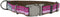 Coastal Pet K9 Explorer Reflective Adjustable Dog Collar, Comfortable and Durable Lightweight Collar for Outdoors