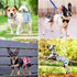 3 Pack Pet Soft Female Dog Diapers, Washable Dog Diapers for Dogs in Heat, Reusable Dogs Period Panties, Puppy Diapers