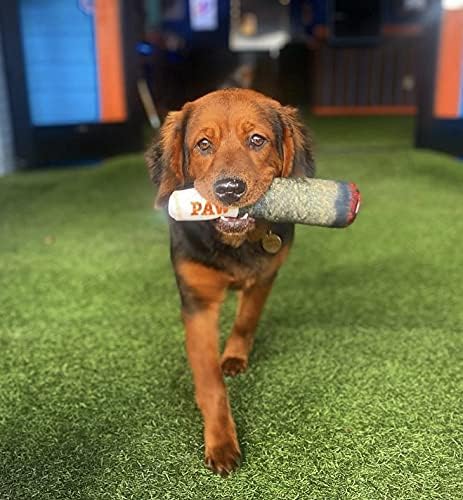 Funny Plush Squeaky Dog Toy - Nestpark Doggy Doobie for All Sizes