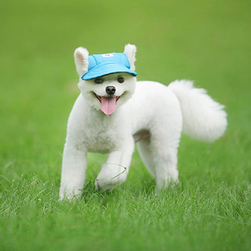 Leconpet Baseball Caps with Neck Strap - Adjustable Comfortable Ear Holes for Small Medium Large Dogs (S, Blue)