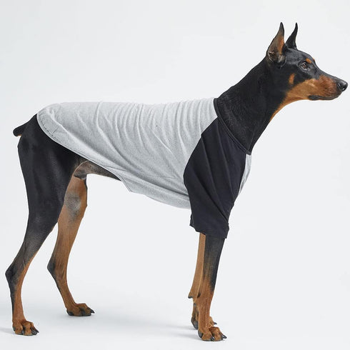 Dog Cotton Shirts Raglan T-shirts for Small and Large Dogs, Soft Breathable Pet Clothes (X-Large, Gray/Black)