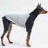 Dog Cotton Shirts Raglan T-shirts for Small and Large Dogs, Soft Breathable Pet Clothes (X-Large, Gray/Black)