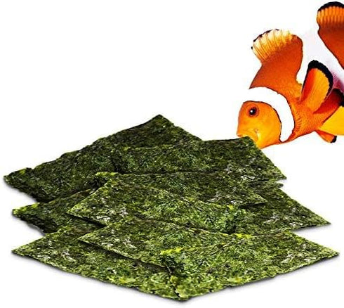 20 Seaweed Sheets for Tangs, Angels, Plecos, Nutrient-Rich Dried Snack for Bottom Feeders, 1 oz. Pet Feed