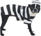 Prison Pooch Costume for Dogs, Medium, 16", Black and White